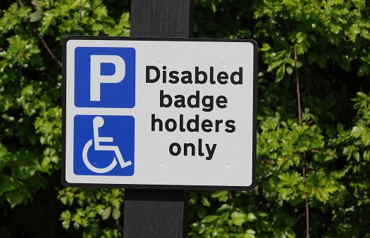 Physical Disabilities